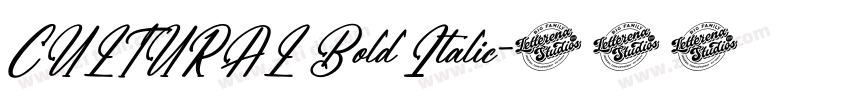 CULTURAL Bold Italic字体转换 CULTURAL Bold Italic字体转换
